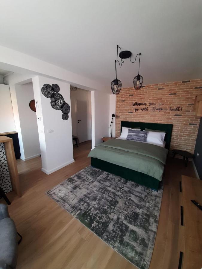 City Center View Studio Apartment 1 Timisoara Exterior foto