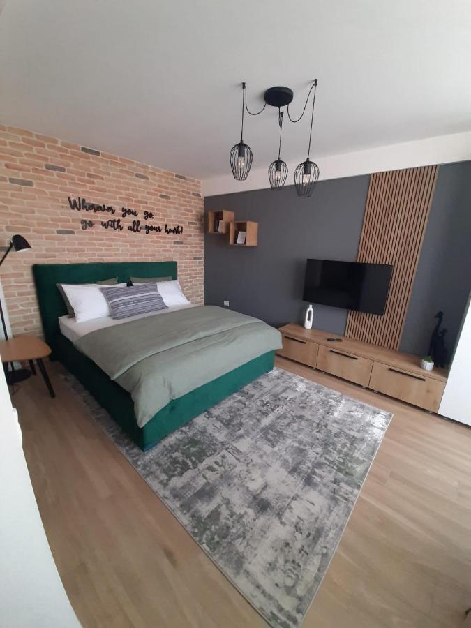 City Center View Studio Apartment 1 Timisoara Exterior foto