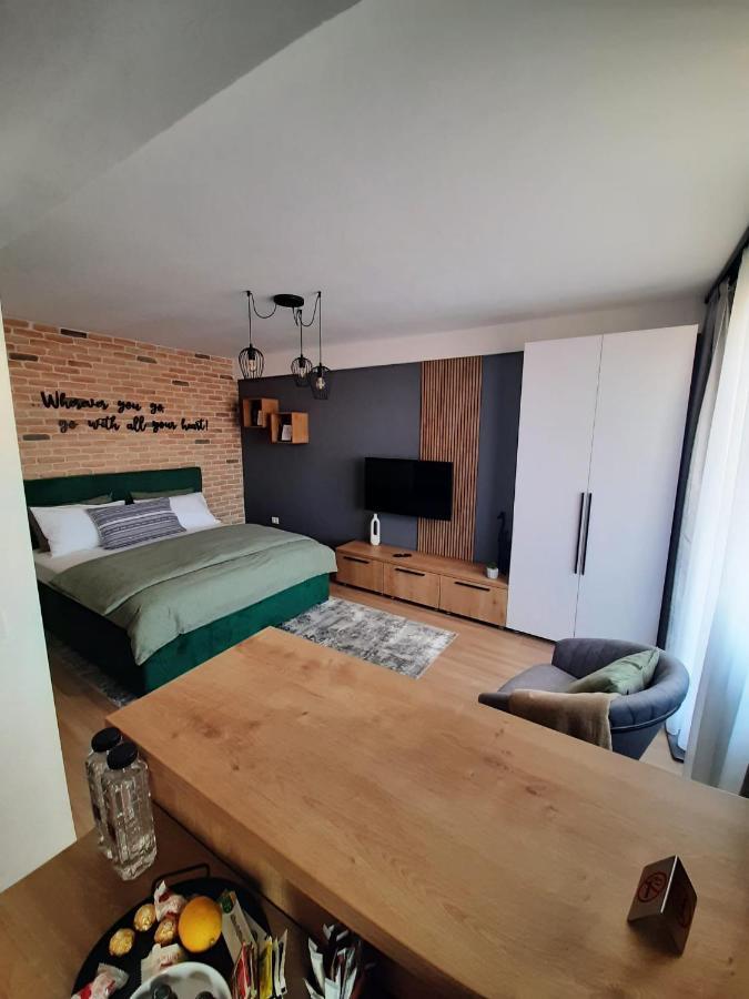 City Center View Studio Apartment 1 Timisoara Exterior foto