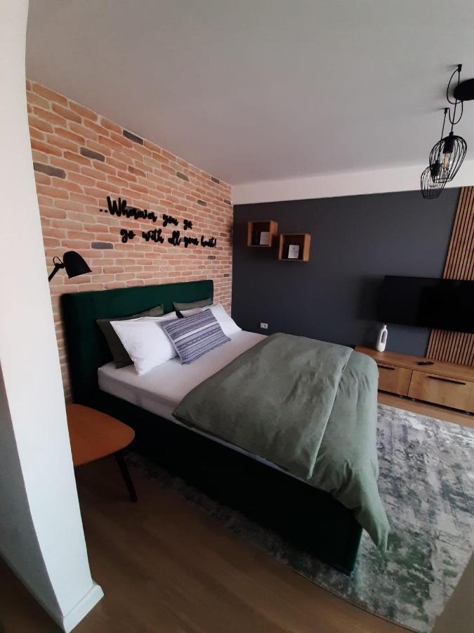 City Center View Studio Apartment 1 Timisoara Exterior foto