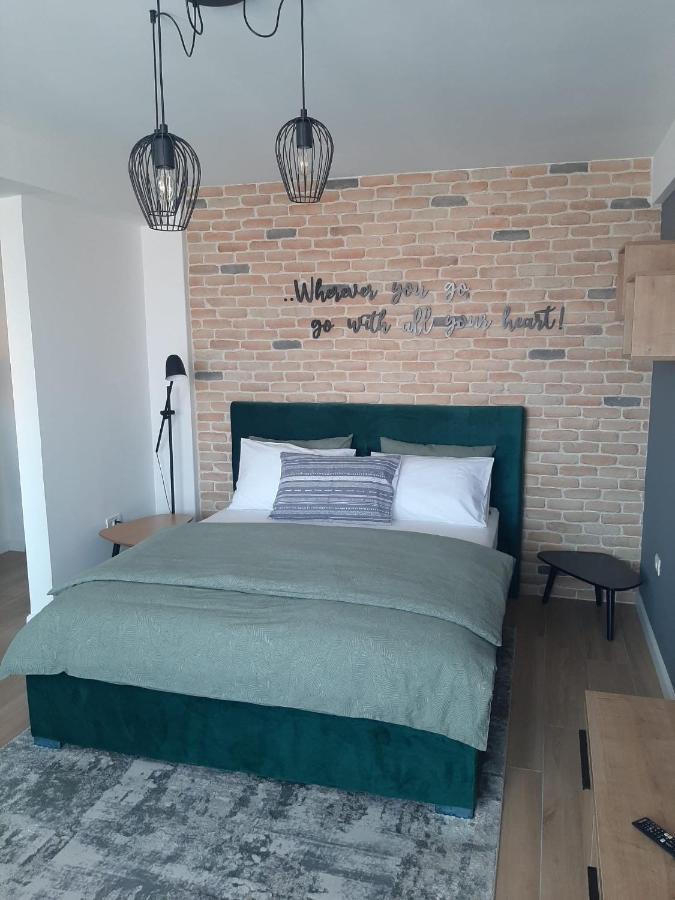 City Center View Studio Apartment 1 Timisoara Exterior foto